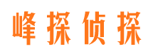 民权侦探公司